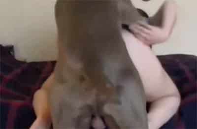 Porno casero con mascotas