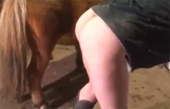 Gorda follada por un pony